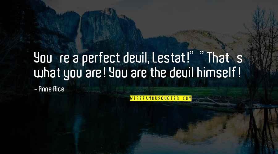 Ban The Burqa Quotes By Anne Rice: You're a perfect devil, Lestat!" "That's what you