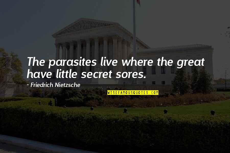 Banaganapalli Quotes By Friedrich Nietzsche: The parasites live where the great have little