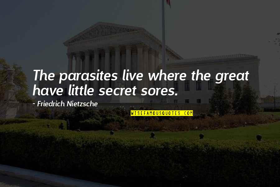 Banaganapalli Quotes By Friedrich Nietzsche: The parasites live where the great have little Banaganapalli Quotes By Friedrich Nietzsche: The parasites live where the great have little