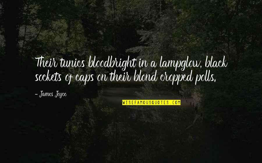 Banale Pillow Quotes By James Joyce: Their tunics bloodbright in a lampglow, black sockets