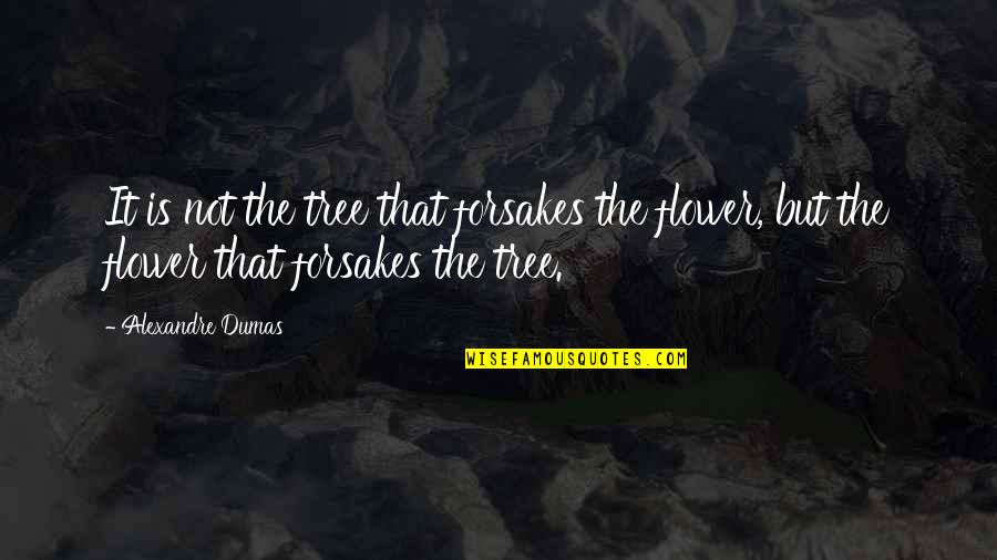 Banan Quotes By Alexandre Dumas: It is not the tree that forsakes the