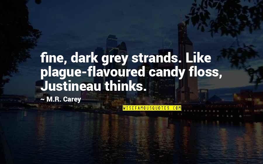 Banana Bread Quotes By M.R. Carey: fine, dark grey strands. Like plague-flavoured candy floss,