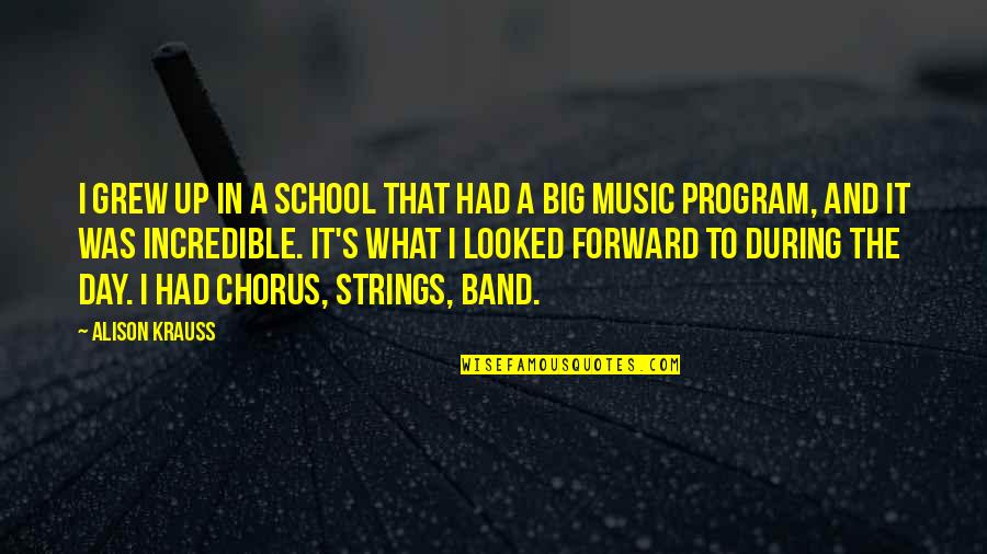 Band Music Quotes By Alison Krauss: I grew up in a school that had