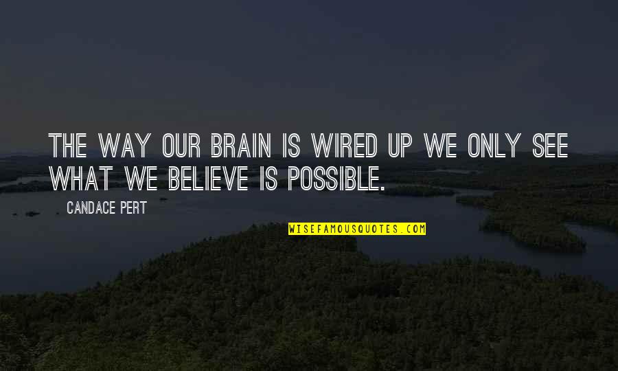 Banderas Sacramento Quotes By Candace Pert: The way our brain is wired up we