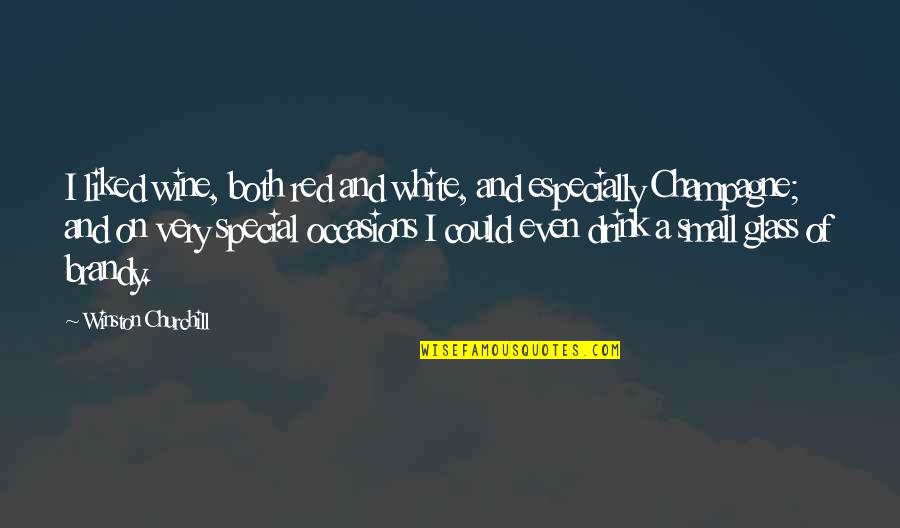Bandesal Quotes By Winston Churchill: I liked wine, both red and white, and