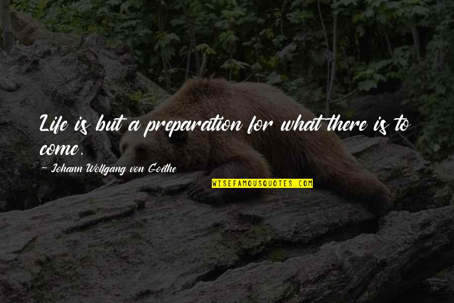 Bandits Bar Quotes By Johann Wolfgang Von Goethe: Life is but a preparation for what there