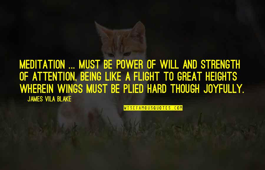 Bandwagons Means Quotes By James Vila Blake: Meditation ... must be power of will and Bandwagons Means Quotes By James Vila Blake: Meditation ... must be power of will and
