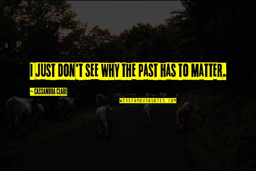 Bane Love Quotes By Cassandra Clare: I just don't see why the past has