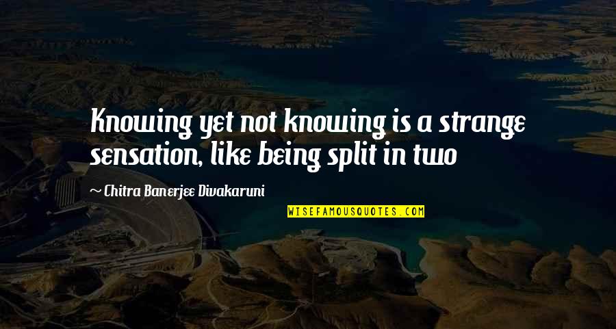 Banerjee Quotes By Chitra Banerjee Divakaruni: Knowing yet not knowing is a strange sensation,