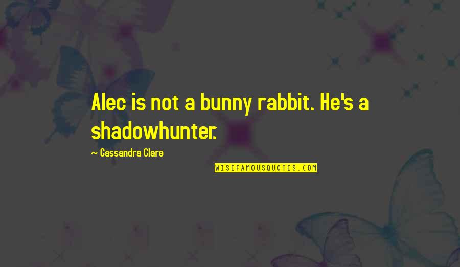 Bane's Quotes By Cassandra Clare: Alec is not a bunny rabbit. He's a