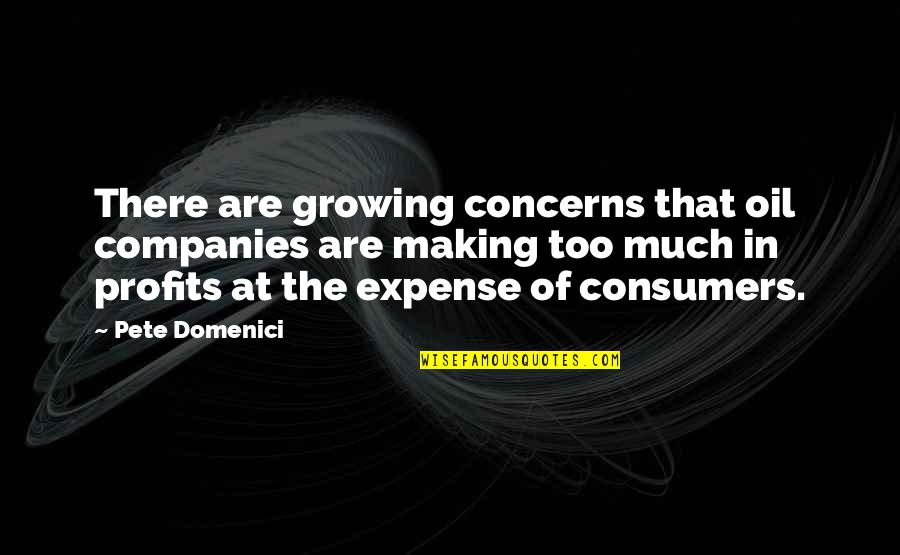 Bangarang Song Quotes By Pete Domenici: There are growing concerns that oil companies are