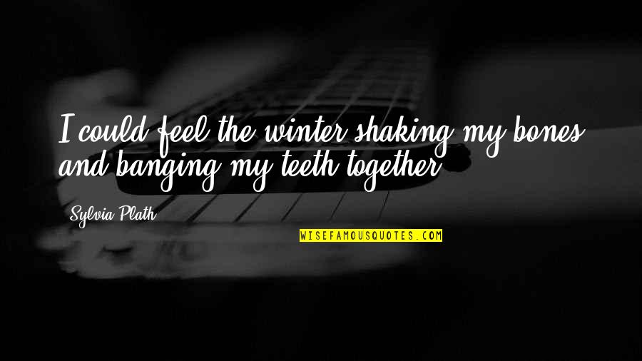 Banging Quotes By Sylvia Plath: I could feel the winter shaking my bones