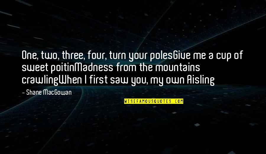 Banhos E Quotes By Shane MacGowan: One, two, three, four, turn your polesGive me