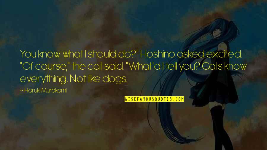 Banilor Puterea Quotes By Haruki Murakami: You know what I should do?" Hoshino asked Banilor Puterea Quotes By Haruki Murakami: You know what I should do?" Hoshino asked