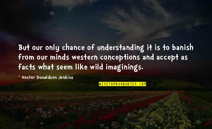 Banish Quotes By Hester Donaldson Jenkins: But our only chance of understanding it is