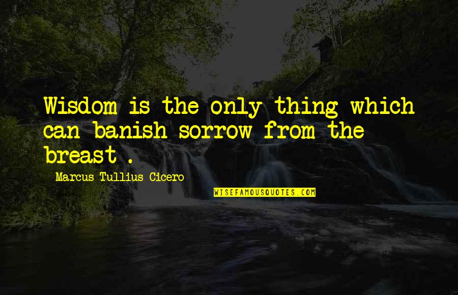 Banish Quotes By Marcus Tullius Cicero: Wisdom is the only thing which can banish