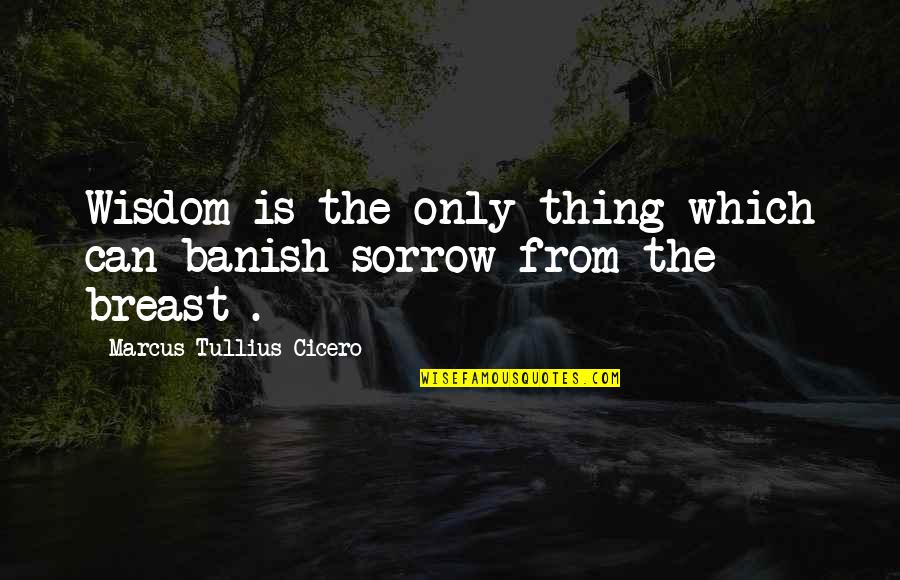 Banish'd Quotes By Marcus Tullius Cicero: Wisdom is the only thing which can banish