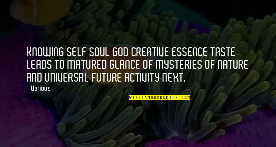 Banisher Quotes By Various: KNOWING SELF SOUL GOD CREATIVE ESSENCE TASTE LEADS