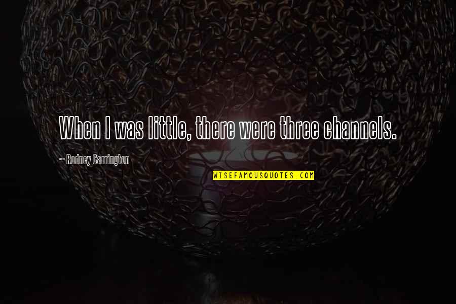 Bankelele Quotes By Rodney Carrington: When I was little, there were three channels. Bankelele Quotes By Rodney Carrington: When I was little, there were three channels.