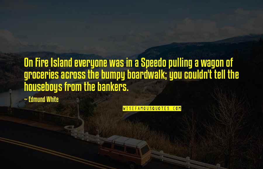 Bankers Quotes By Edmund White: On Fire Island everyone was in a Speedo