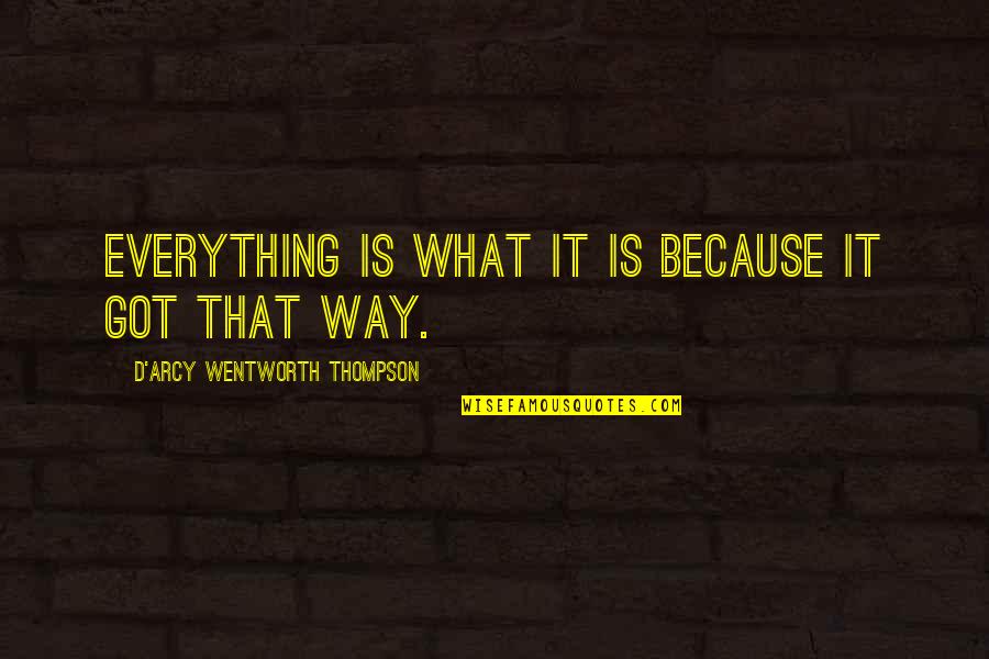 Bankinstelling Quotes By D'Arcy Wentworth Thompson: Everything is what it is because it got Bankinstelling Quotes By D'Arcy Wentworth Thompson: Everything is what it is because it got