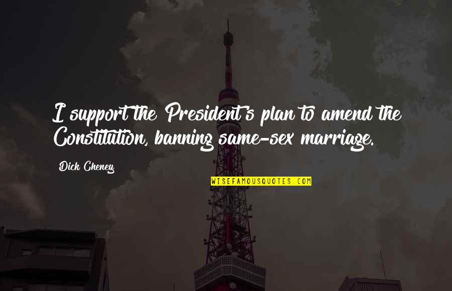 Banning Quotes By Dick Cheney: I support the President's plan to amend the