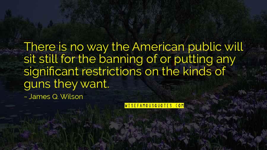 Banning Quotes By James Q. Wilson: There is no way the American public will Banning Quotes By James Q. Wilson: There is no way the American public will