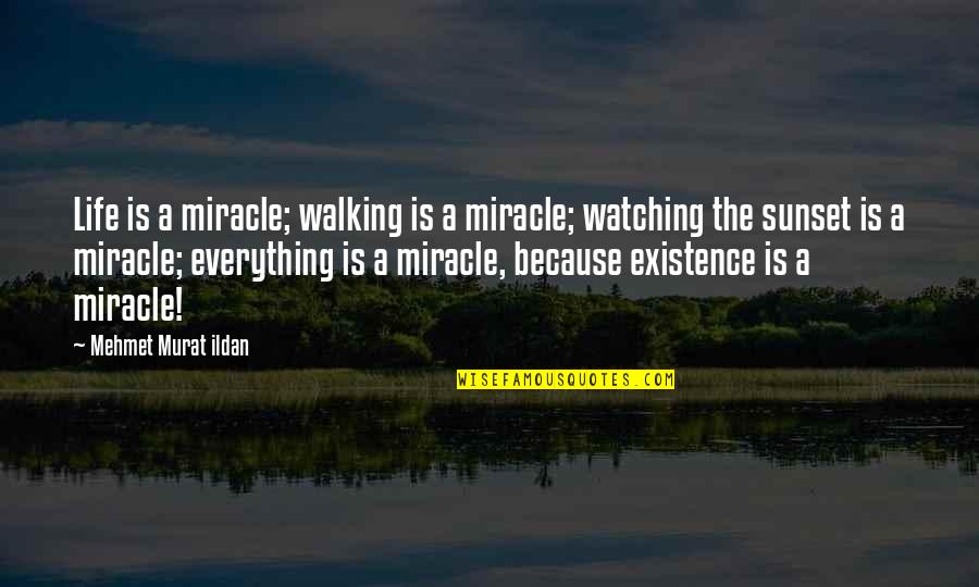 Banquets Quotes By Mehmet Murat Ildan: Life is a miracle; walking is a miracle;