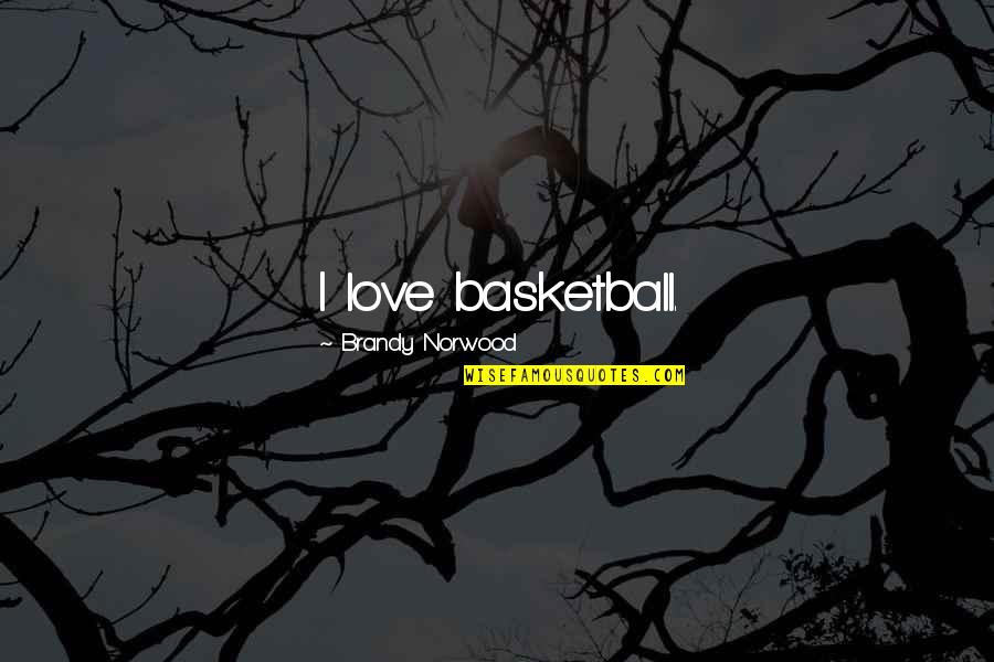 Bantlings Quotes By Brandy Norwood: I love basketball.