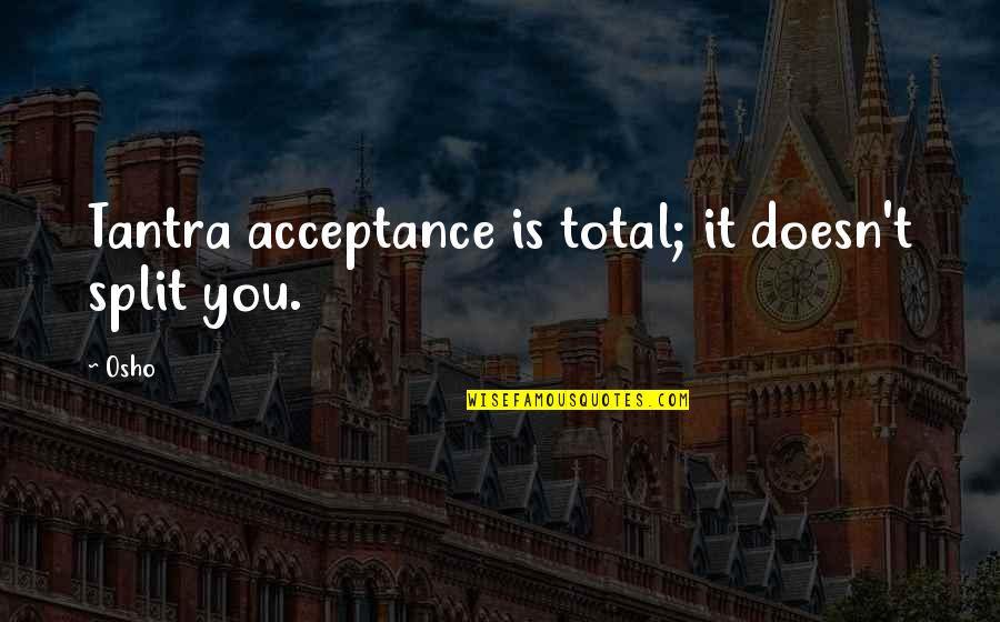 Bantos Fighting Quotes By Osho: Tantra acceptance is total; it doesn't split you.