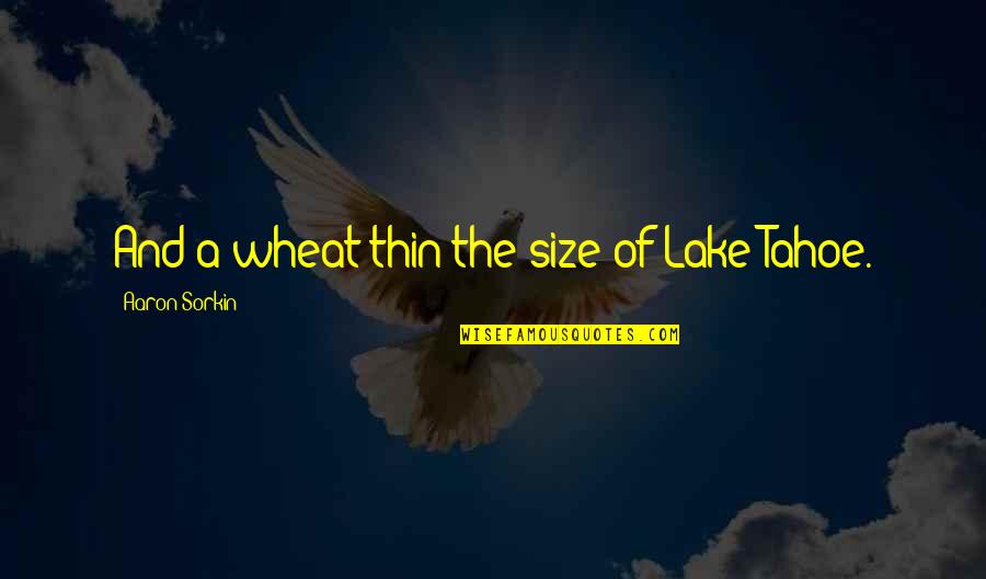 Baobab Tree Quotes By Aaron Sorkin: And a wheat thin the size of Lake