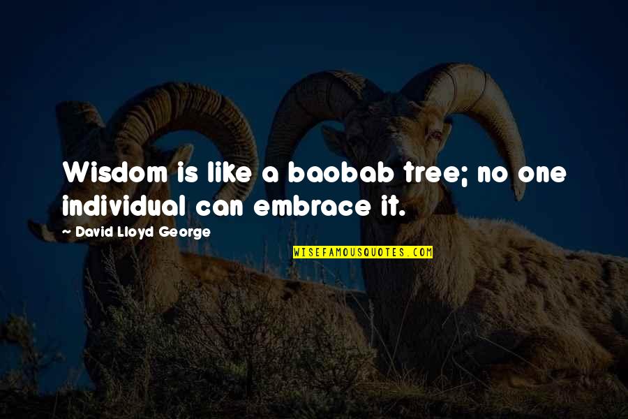 Baobab Tree Quotes By David Lloyd George: Wisdom is like a baobab tree; no one
