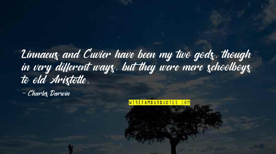Baptist Ministers Quotes By Charles Darwin: Linnaeus and Cuvier have been my two gods,