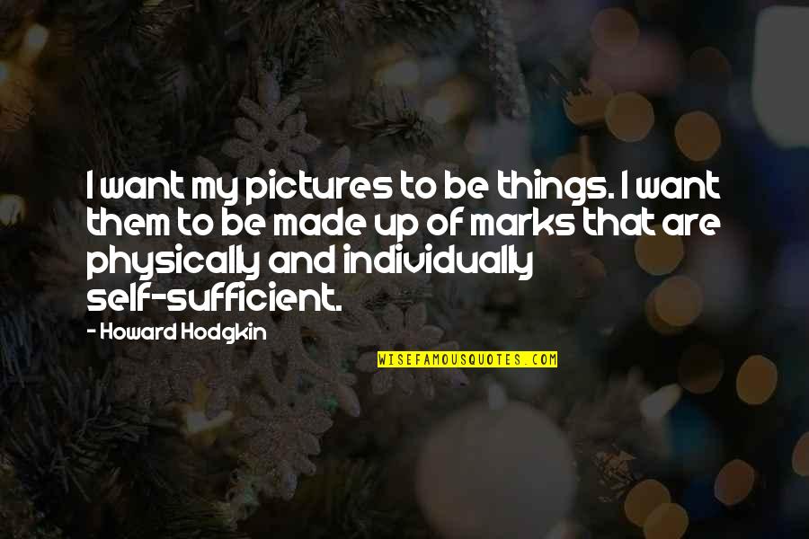 Bar Lounge Quotes By Howard Hodgkin: I want my pictures to be things. I