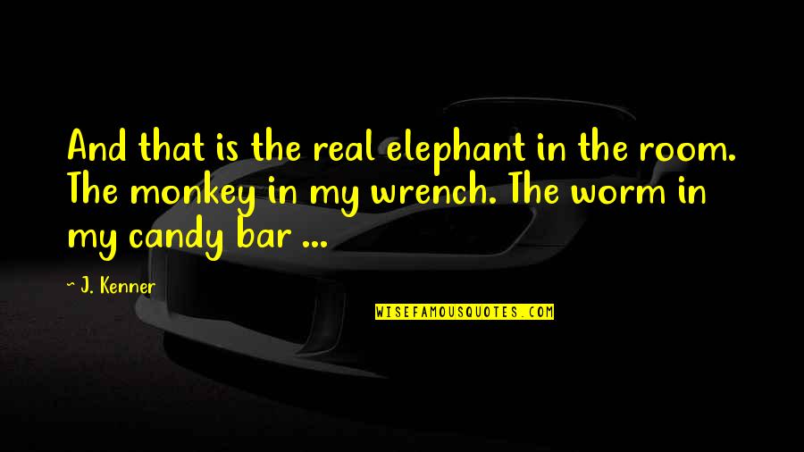 Bar Room Quotes By J. Kenner: And that is the real elephant in the