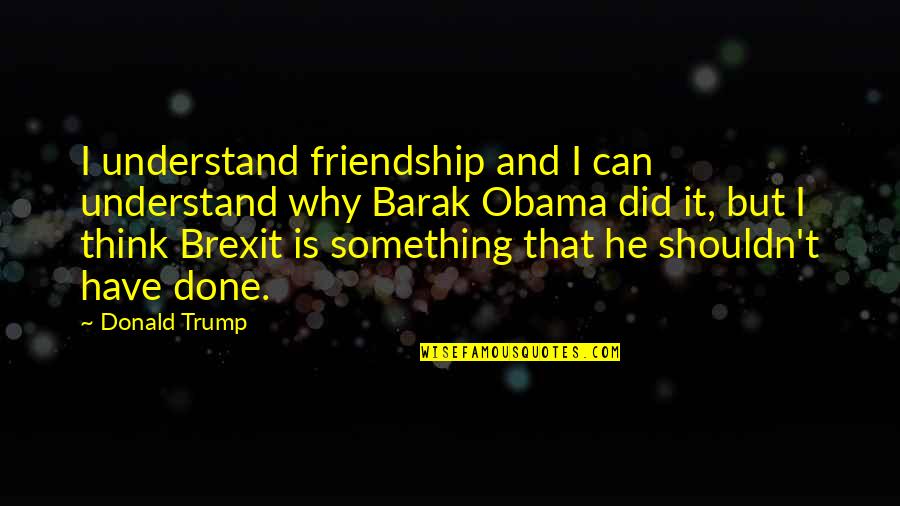 Barak Obama Quotes By Donald Trump: I understand friendship and I can understand why Barak Obama Quotes By Donald Trump: I understand friendship and I can understand why