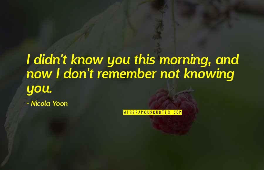 Barangay Fiesta Quotes By Nicola Yoon: I didn't know you this morning, and now