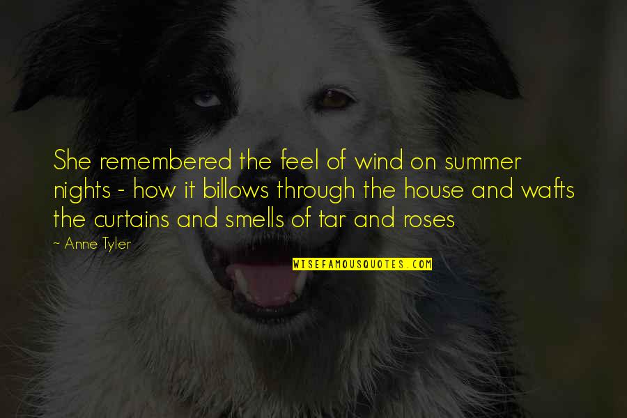 Baranger Motion Quotes By Anne Tyler: She remembered the feel of wind on summer