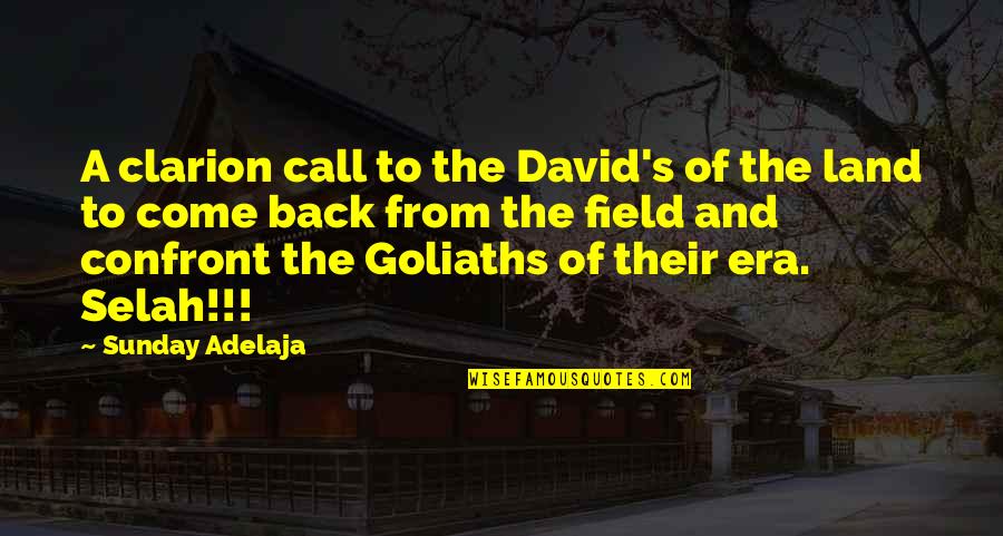 Baranowski Bakery Quotes By Sunday Adelaja: A clarion call to the David's of the