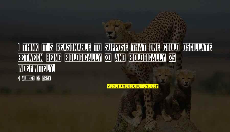 Baranowski Zygmunt Quotes By Aubrey De Grey: I think it's reasonable to suppose that one