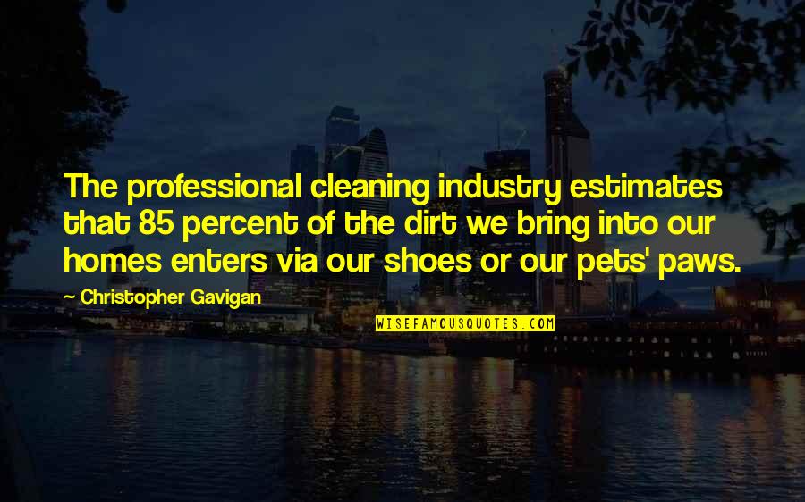 Bararino Quotes By Christopher Gavigan: The professional cleaning industry estimates that 85 percent