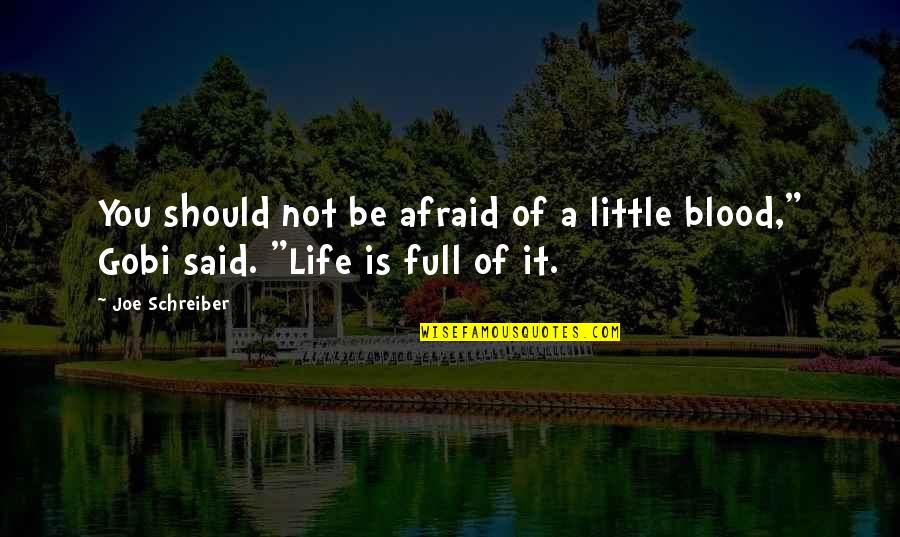 Barbachano Chichen Quotes By Joe Schreiber: You should not be afraid of a little