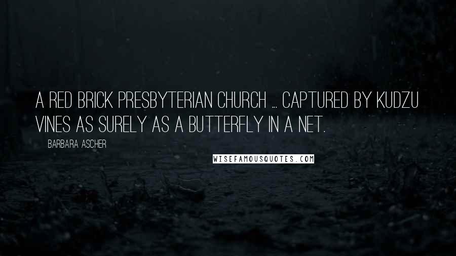 Barbara Ascher quotes: A red brick Presbyterian church ... captured by kudzu vines as surely as a butterfly in a net. Barbara Ascher quotes: A red brick Presbyterian church ... captured by kudzu vines as surely as a butterfly in a net.