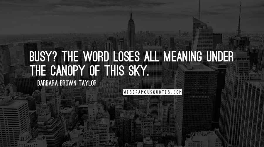 Barbara Brown Taylor quotes: Busy? The word loses all meaning under the canopy of this sky.