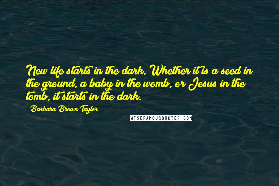 Barbara Brown Taylor quotes: New life starts in the dark. Whether it is a seed in the ground, a baby in the womb, or Jesus in the tomb, it starts in the dark.