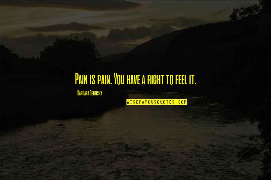 Barbara Delinsky Quotes By Barbara Delinsky: Pain is pain. You have a right to