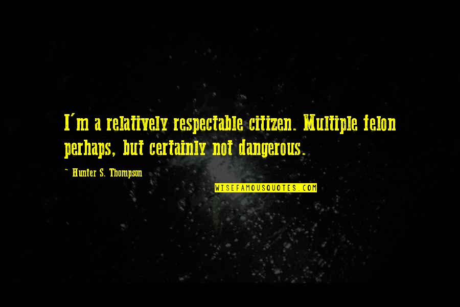 Barbara Kellerman Leadership Quotes By Hunter S. Thompson: I'm a relatively respectable citizen. Multiple felon perhaps,