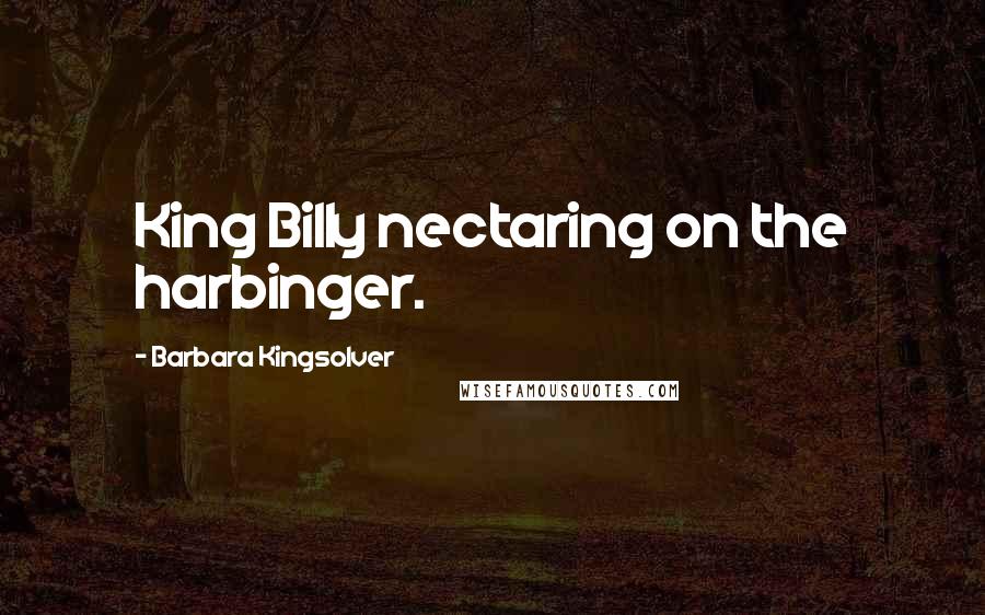 Barbara Kingsolver quotes: King Billy nectaring on the harbinger.