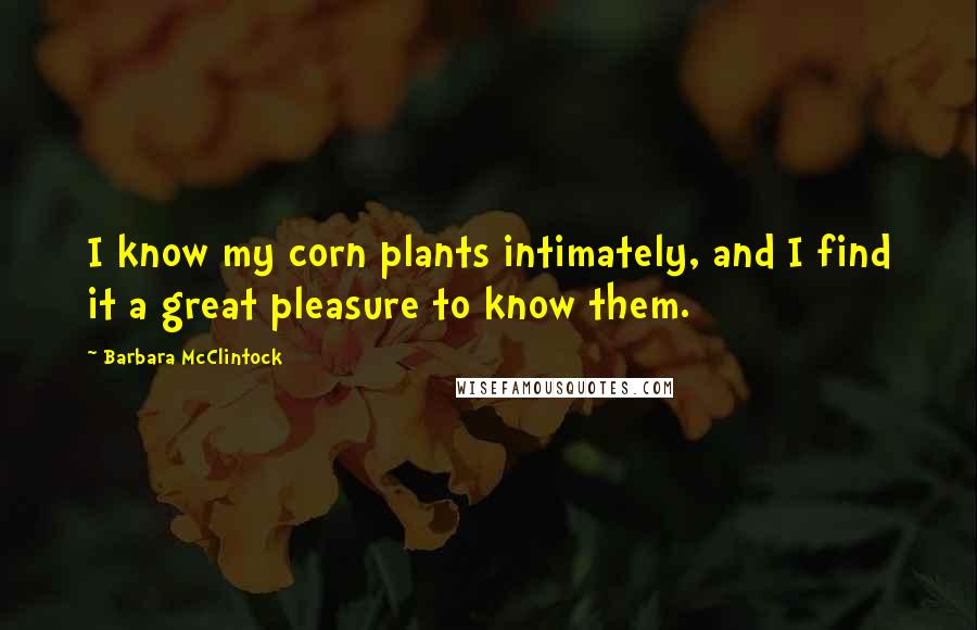 Barbara McClintock quotes: I know my corn plants intimately, and I find it a great pleasure to know them.