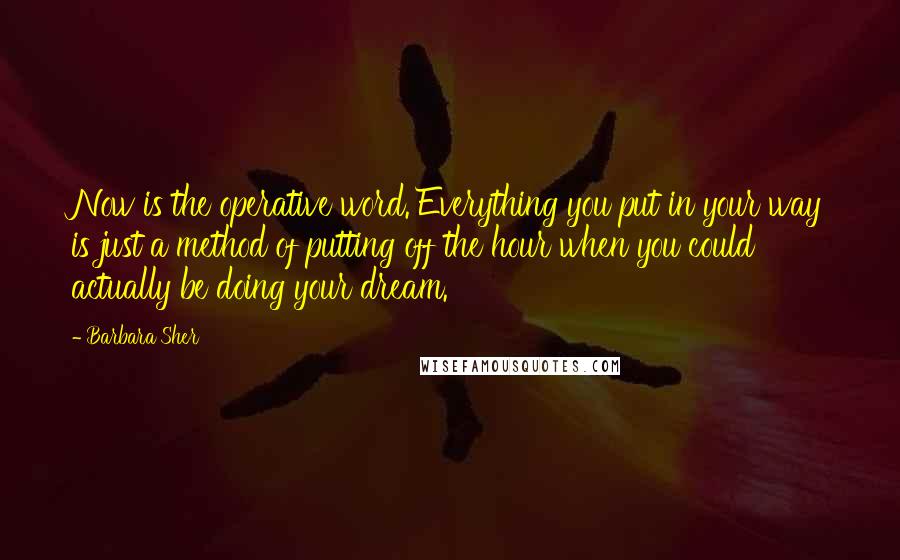 Barbara Sher quotes: Now is the operative word. Everything you put in your way is just a method of putting off the hour when you could actually be doing your dream.